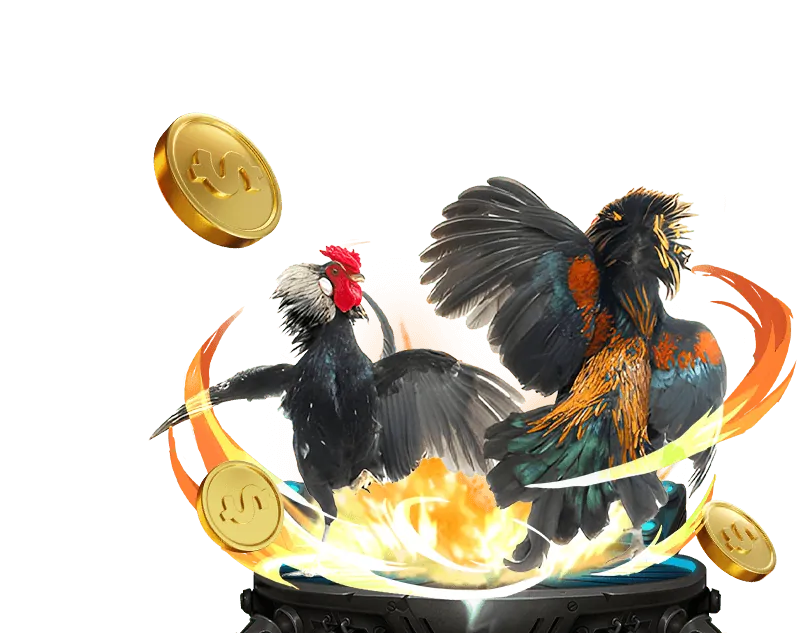 Tỷ lệ cược trực tiếp